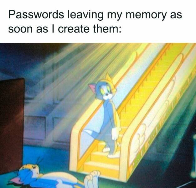 Funny Memes (19 pics)