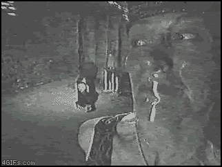 Scary Reality (15 gifs) Scary Reality (15 gifs)