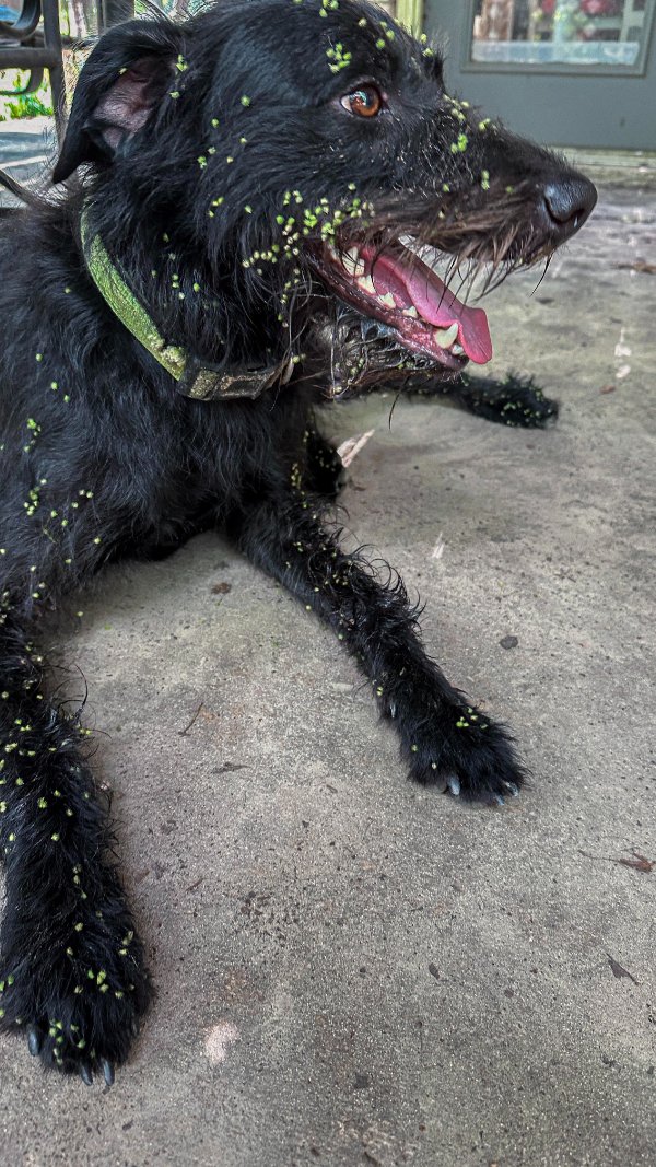 Bad Days Happen (17 pics)