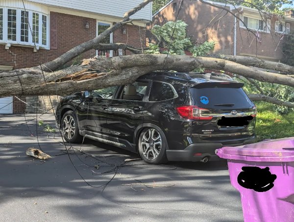 Bad Days Happen (17 pics)