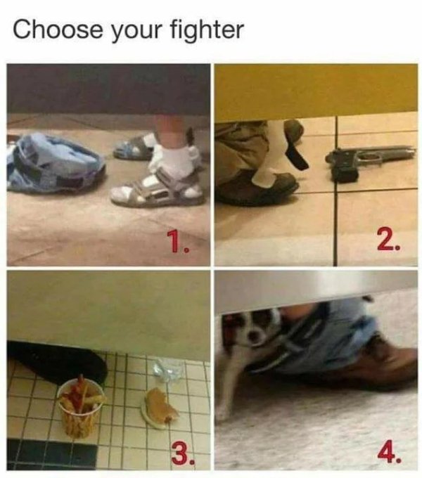 Funny Memes (19 pics)