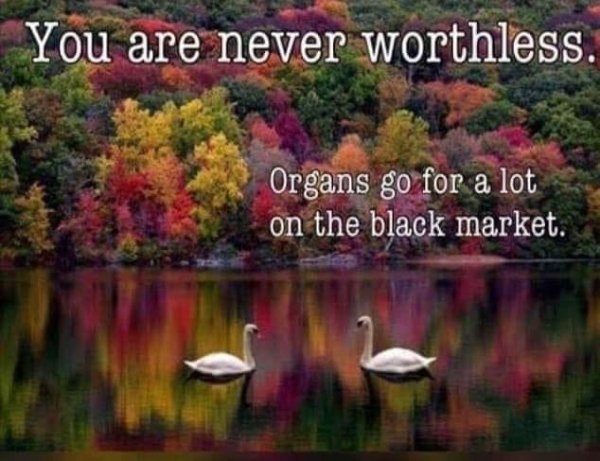 Funny Memes (19 pics)