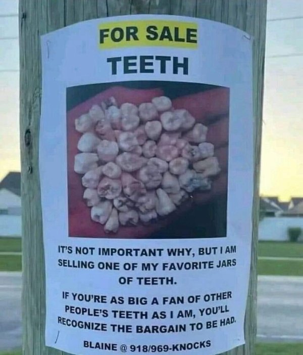 Funny Memes (19 pics)
