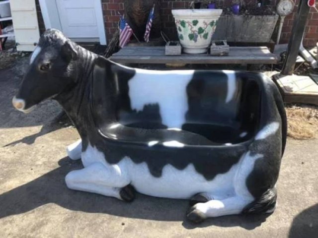 Weird Finds In Thrift Shops (26 pics)