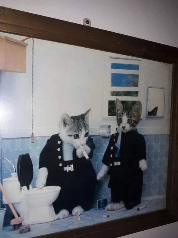 Weird Finds In Thrift Shops (26 pics)