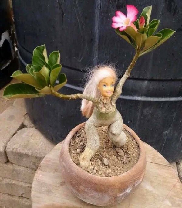 What Is Going On Here? (24 pics)