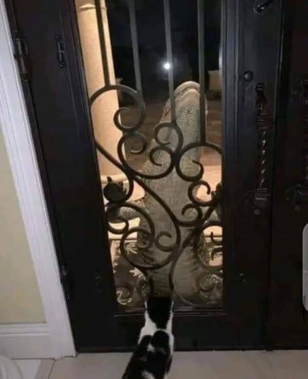 What Is Going On Here? (24 pics)