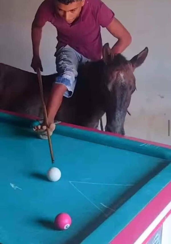 What Is Going On Here? (24 pics)