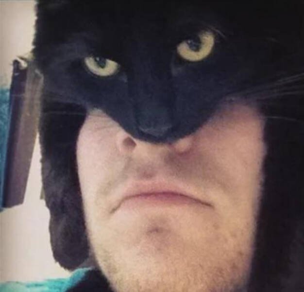 What Is Going On Here? (24 pics)