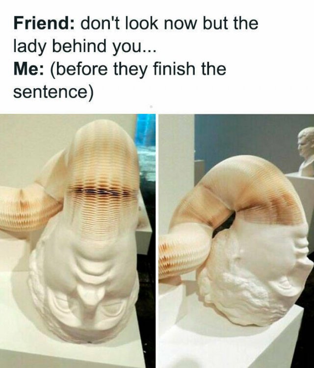 Classical Memes (25 pics)