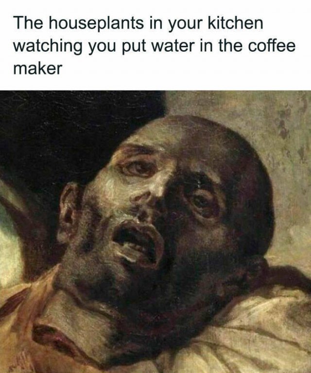 Classical Memes (25 pics)