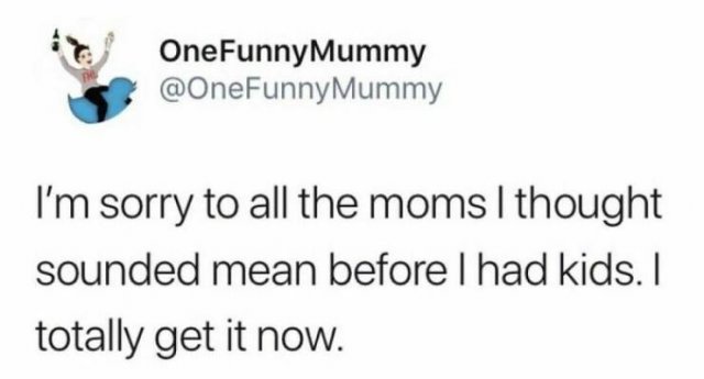 Parenting Memes (20 pics)