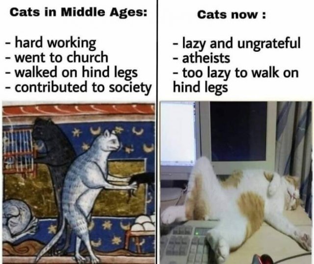 Classical Memes (25 pics)