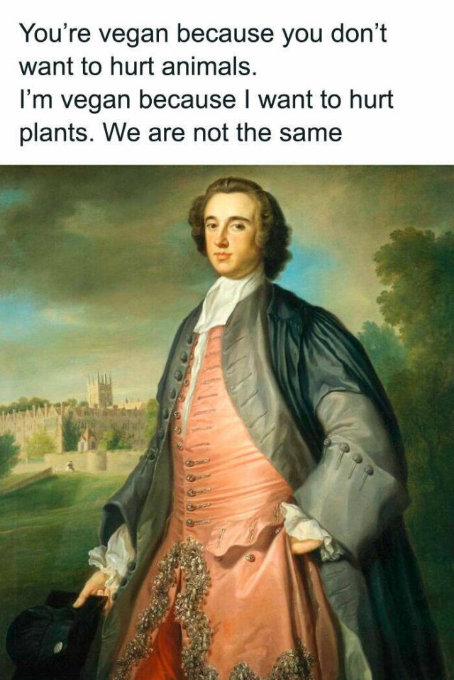 Classical Memes (25 pics)