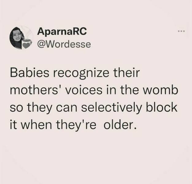 Parenting Memes (20 pics)