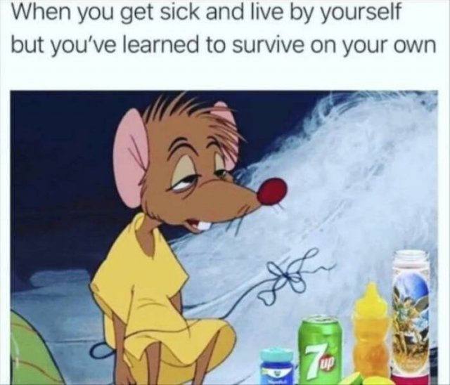 Truthful Memes (22 pics)