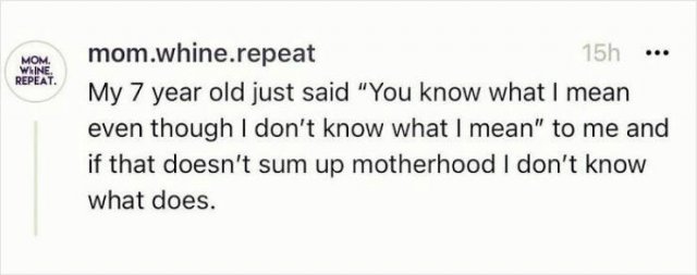 Parenting Memes (20 pics)