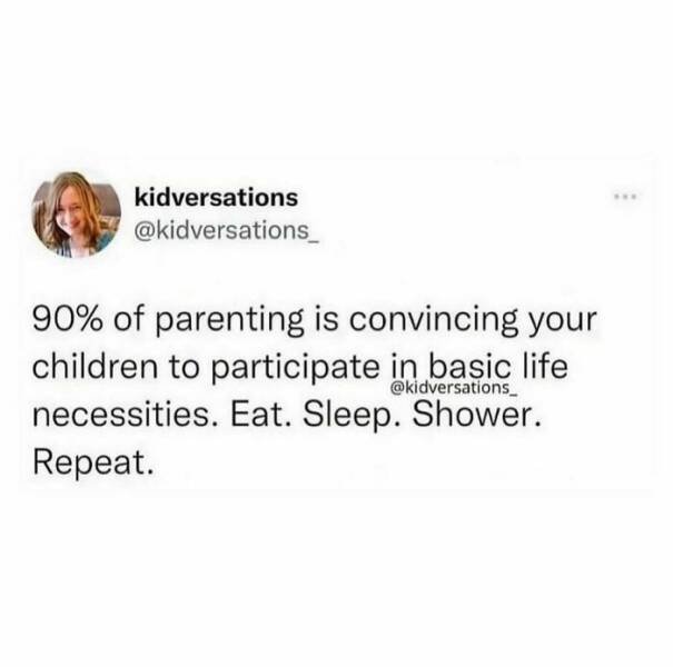 Parenting Memes (20 pics)