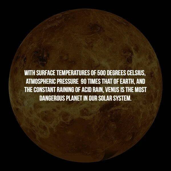 Creepy Facts (16 pics)
