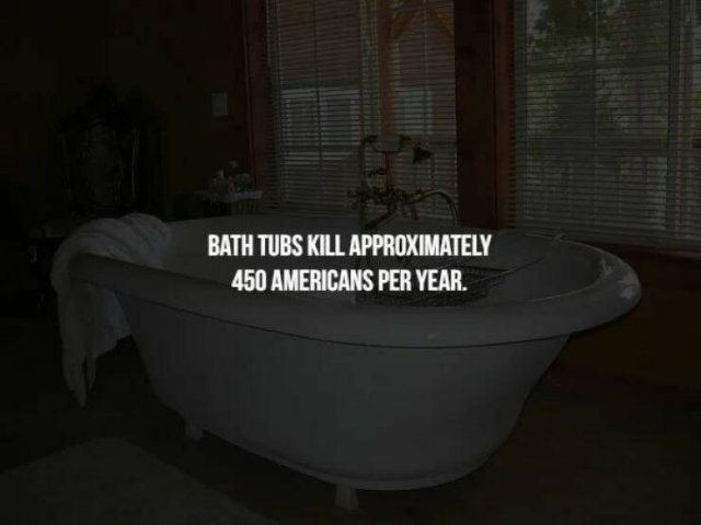 Creepy Facts (16 pics)