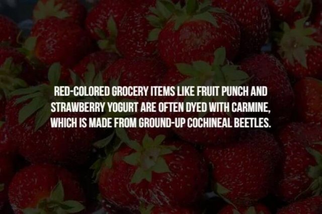 Creepy Facts (16 pics)