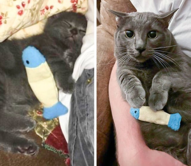 Cool ''Before And After'' Photos (15 pics)