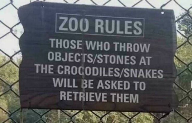 Funny Signs (21 pics)