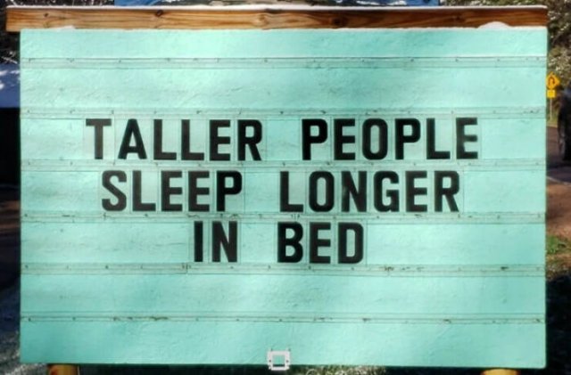Funny Signs (21 pics)