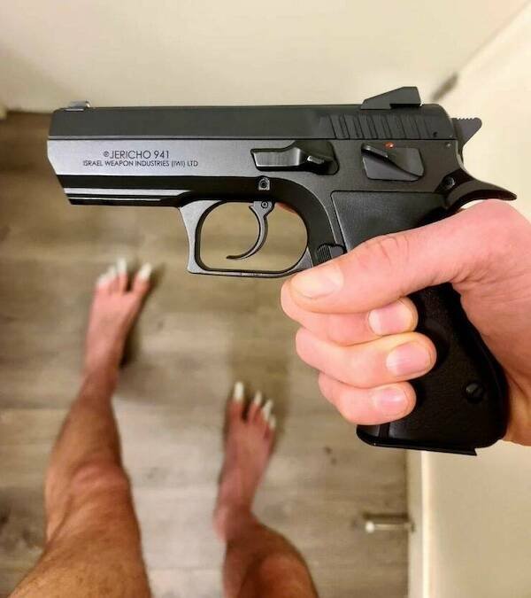 What Is Going On Here? (16 pics)