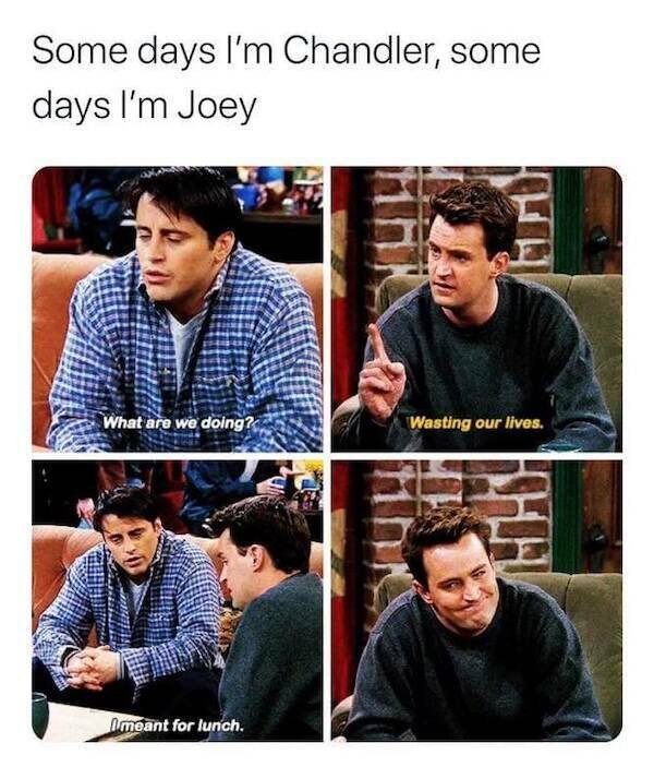 Memes For ''Friends'' Fans (16 pics)