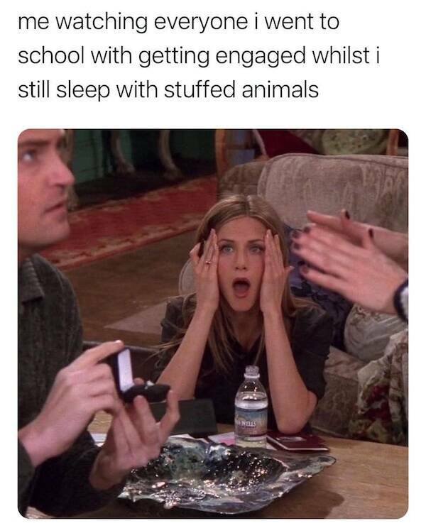 Memes For ''Friends'' Fans (16 pics)