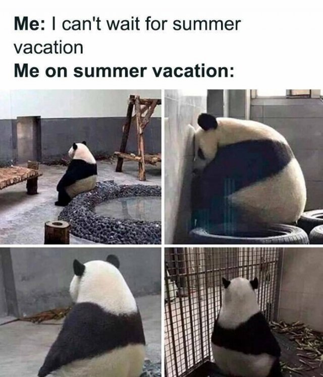 Vacation Jokes (18 pics)