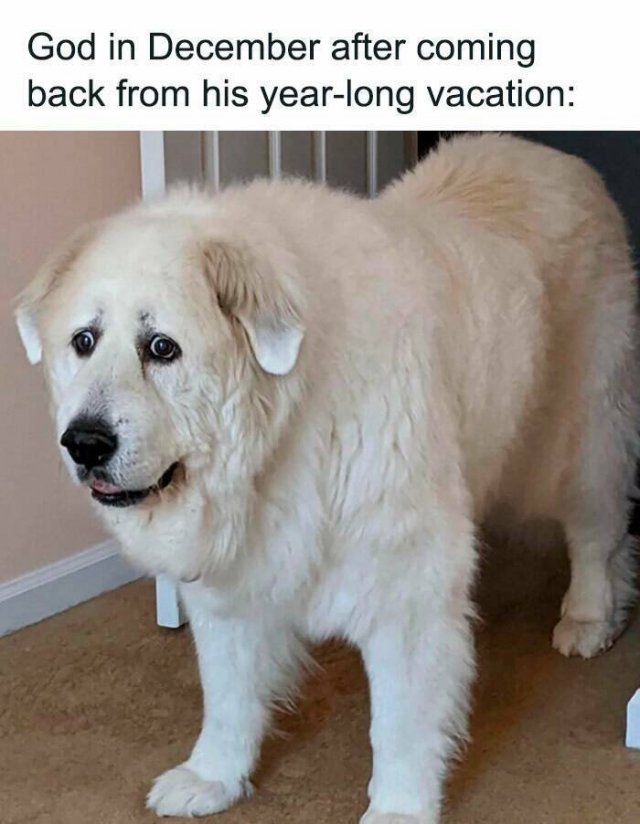 Vacation Jokes (18 pics)