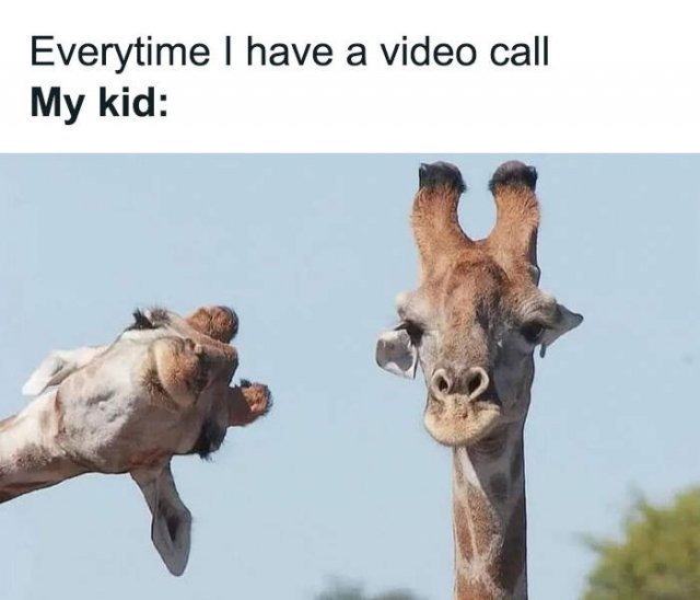 Jokes For Parents (25 pics)