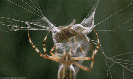 Terrifying Facts (15 gifs) Terrifying Facts (15 gifs)