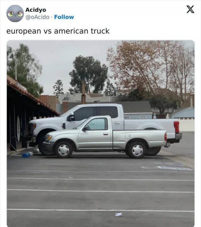 Europe Against America (18 pics)