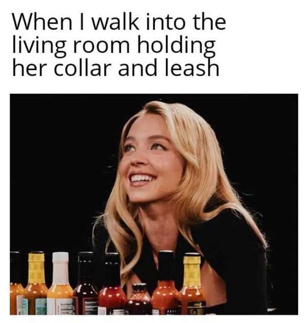 Funny Memes (20 pics)
