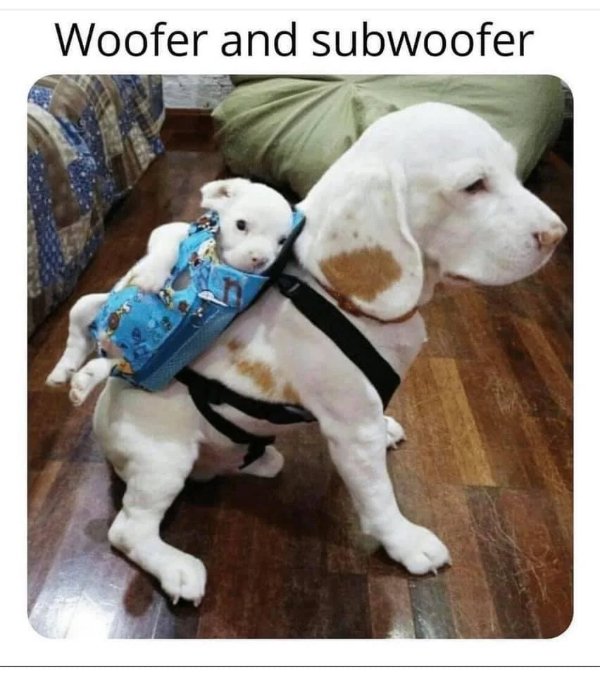 Funny Memes (20 pics)
