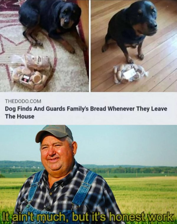 Kind Jokes (20 pics)