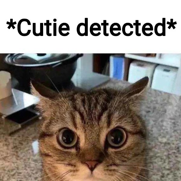 Kind Jokes (20 pics)