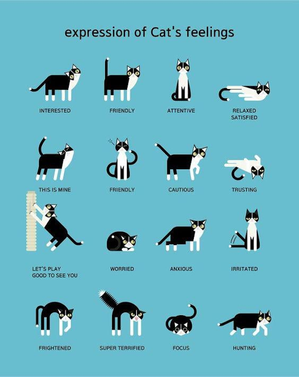 Interesting Data (19 pics)