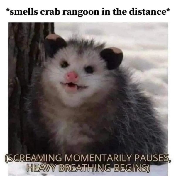 Funny Memes (20 pics)