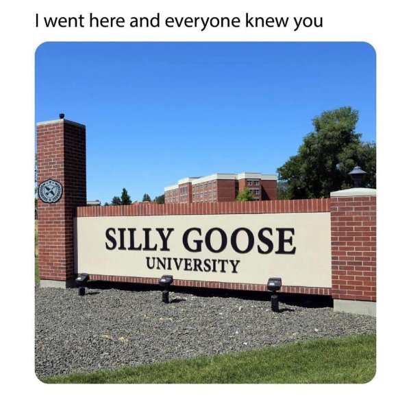 Funny Memes (20 pics)