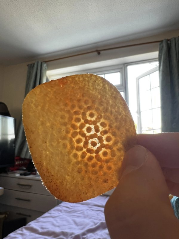 Interesting Finds And Discoveries (18 pics)