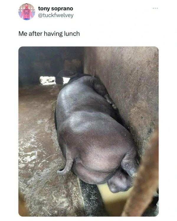 Funny Memes (20 pics)
