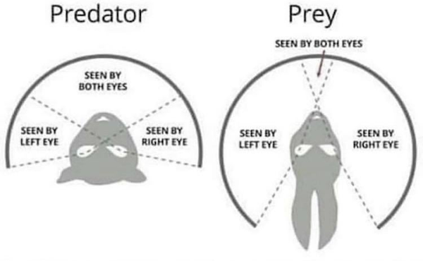 Interesting Data (19 pics)