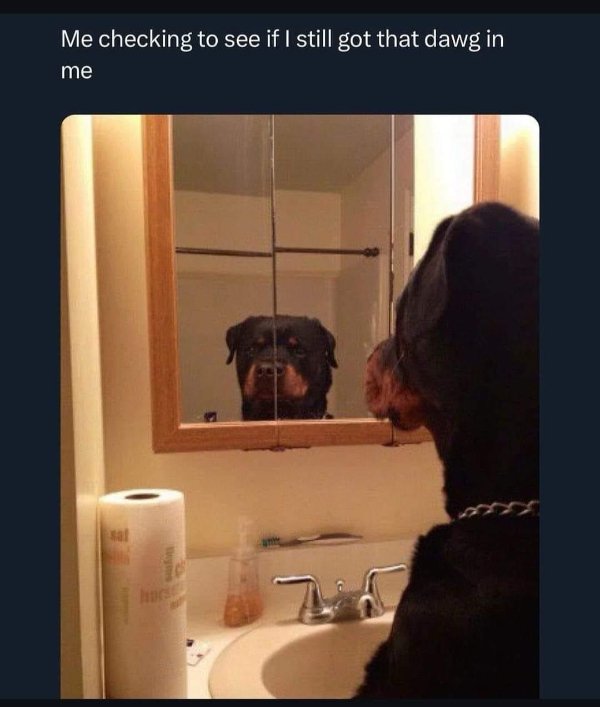 Funny Memes (20 pics)