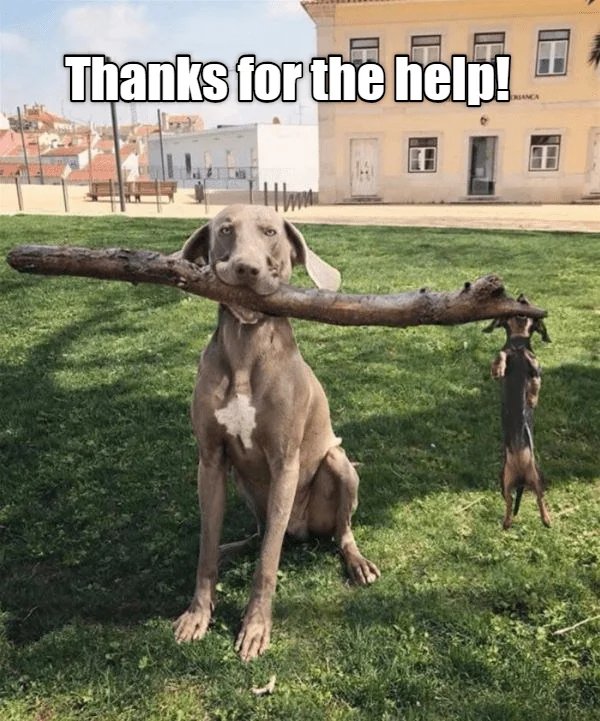 Kind Jokes (20 pics)