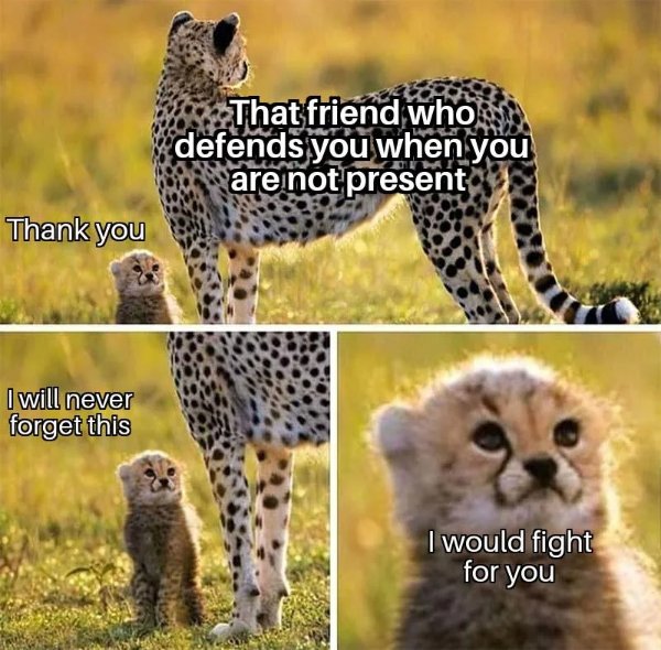 Kind Jokes (20 pics)