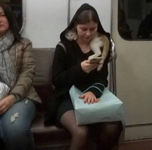 Strange People In The Subway (31 pics)